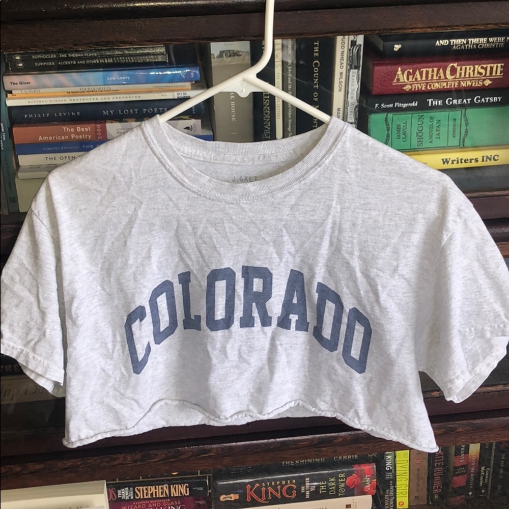 Brandy Melville Colorado crop top
